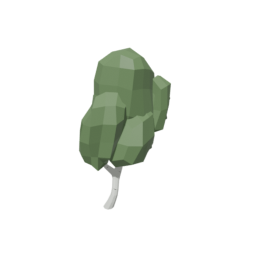 Birch Tree 1